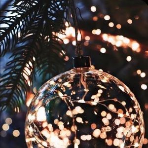 Meet your Posher, Reagan